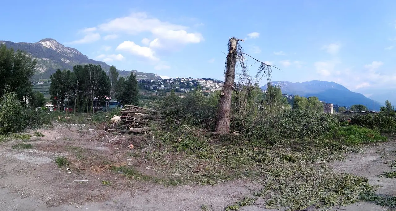 Carbochimica, tabula rasa: tagliati 4 ettari di boscaglia