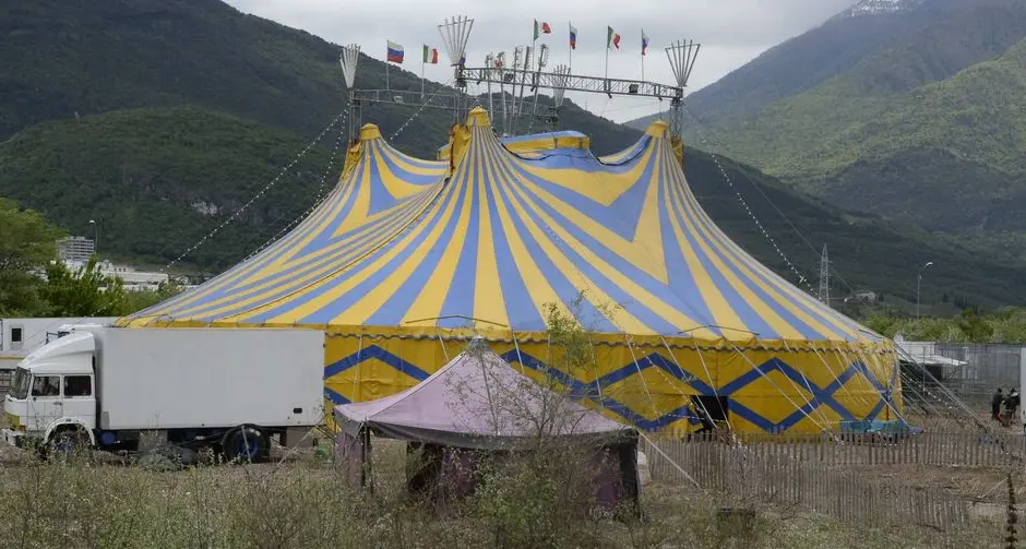 «Animali al circo, diseducativo per i bimbi»