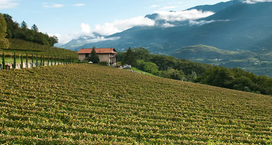 Agricoltura bio, è boom a Trento