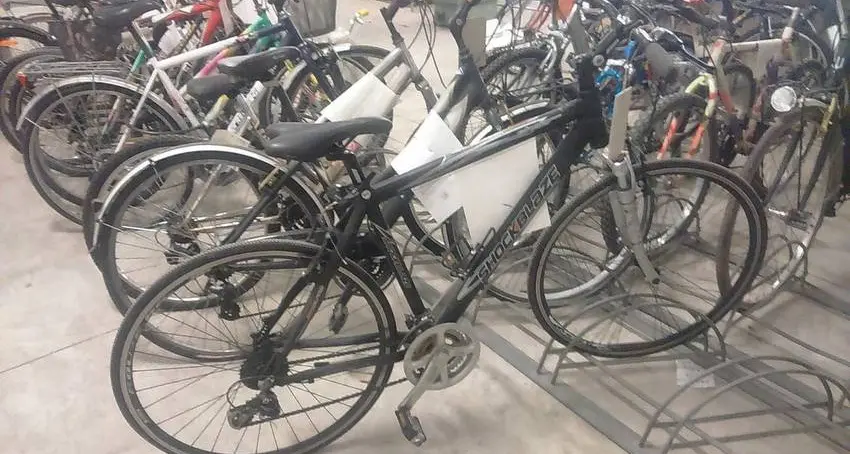 Trento, il Comune mette all'asta 109 biciclette