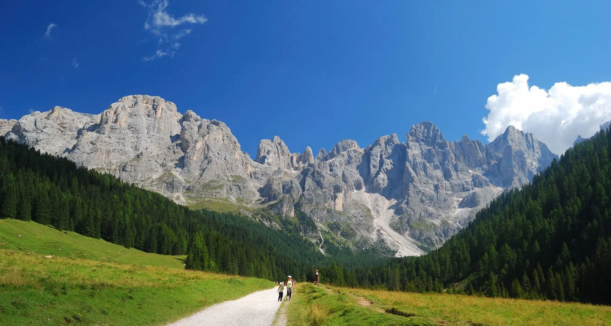 «Le Dolomiti? Fossero in Svizzera sarebbero molto più sfruttate»