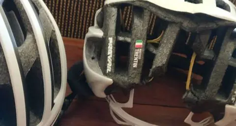 Frontale con un orso per il ciclista Matteo Trentin