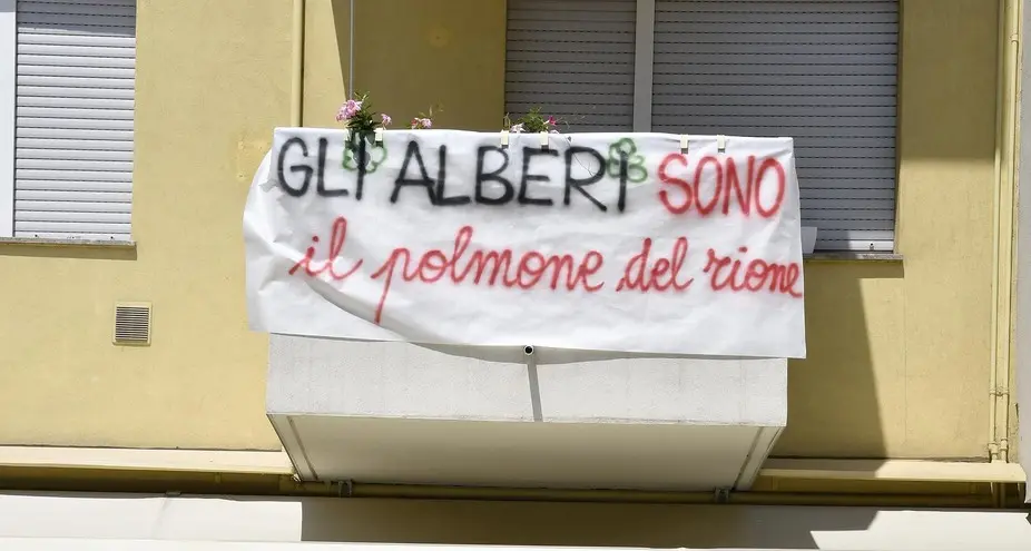 \"Salviamo gli alberi\": il Brione in rivolta
