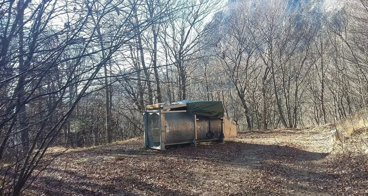 Tre trappole per catturare l'orso installate nella zona dell'attacco