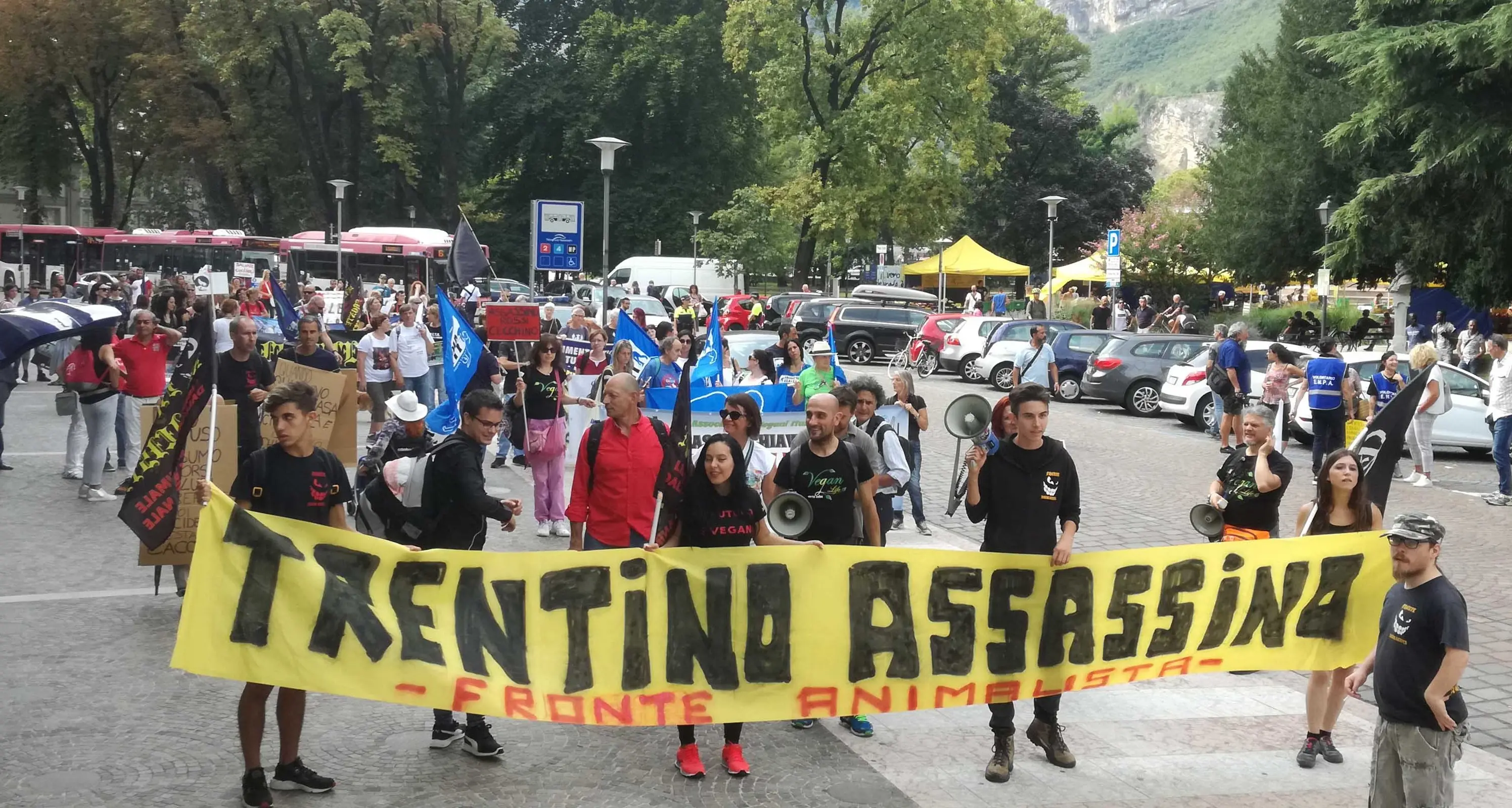 Orsa Kj2, inizia la polemica fra animalisti