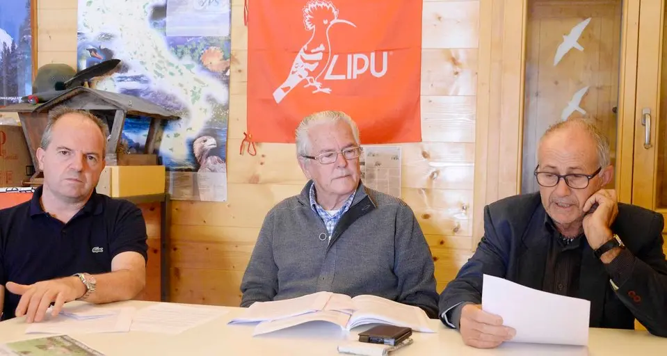 Orso e lupo, è scontro con le Province