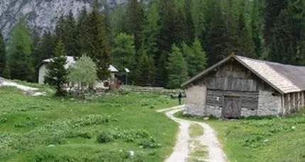 Truffa, un notaio e una geometra condannati per aver raggirato un'anziana