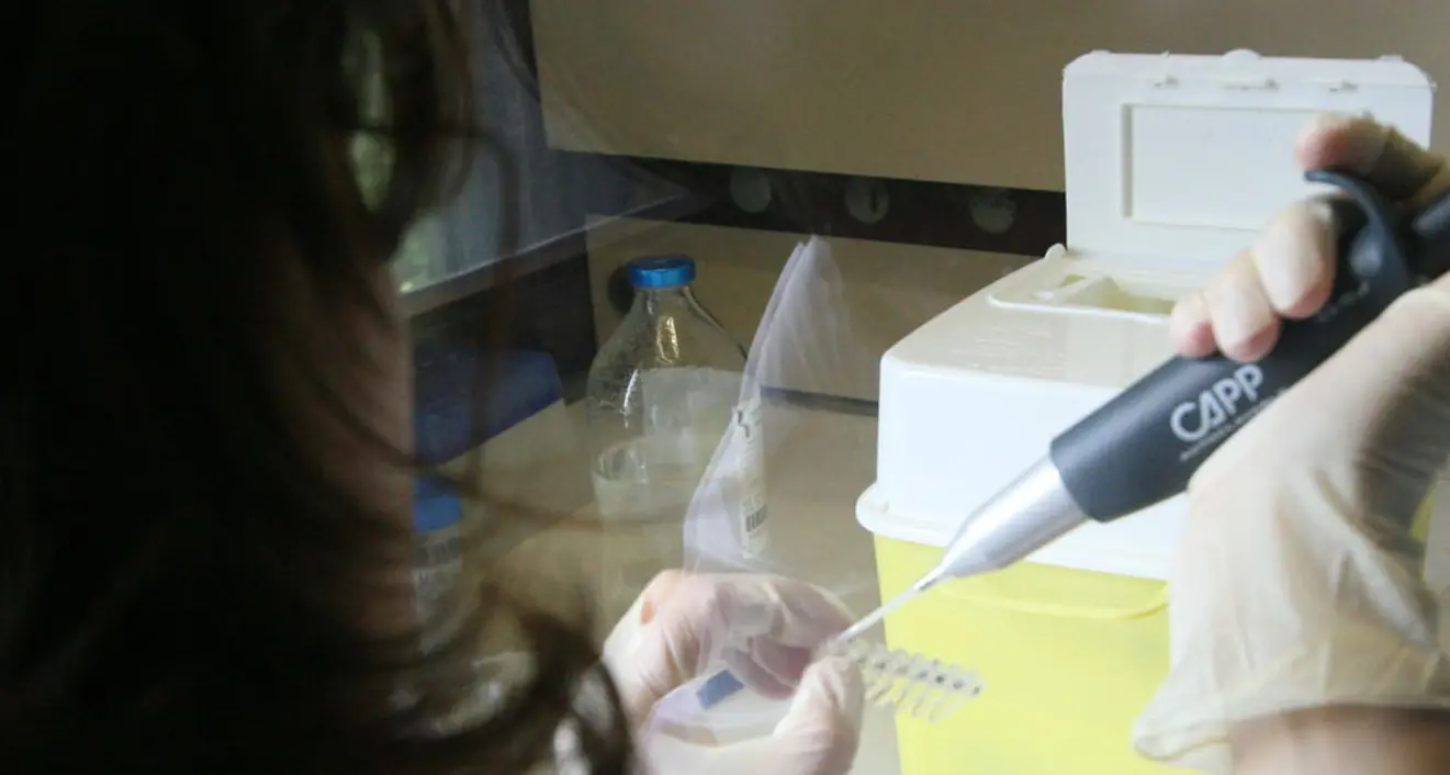 «Sangue cordonale, raccolta deficitaria a Rovereto»
