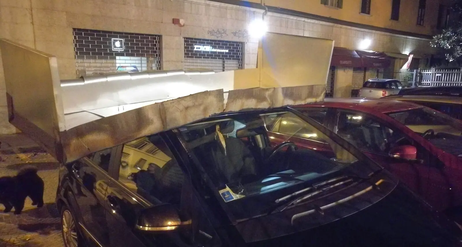 Raffiche di vento: in Trentino 160 interventi in poche ore