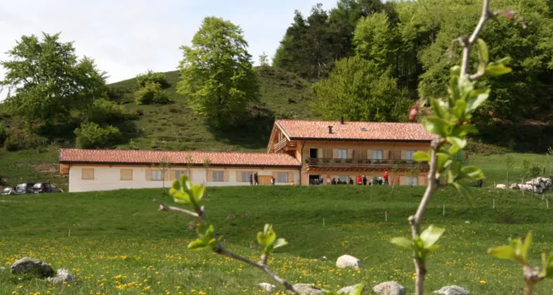 Malga Albi, via libera a orto e pascolo