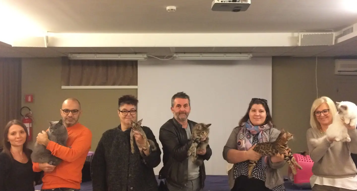 Al Palafiere 500 gatti in sfida per il titolo di felino più bello