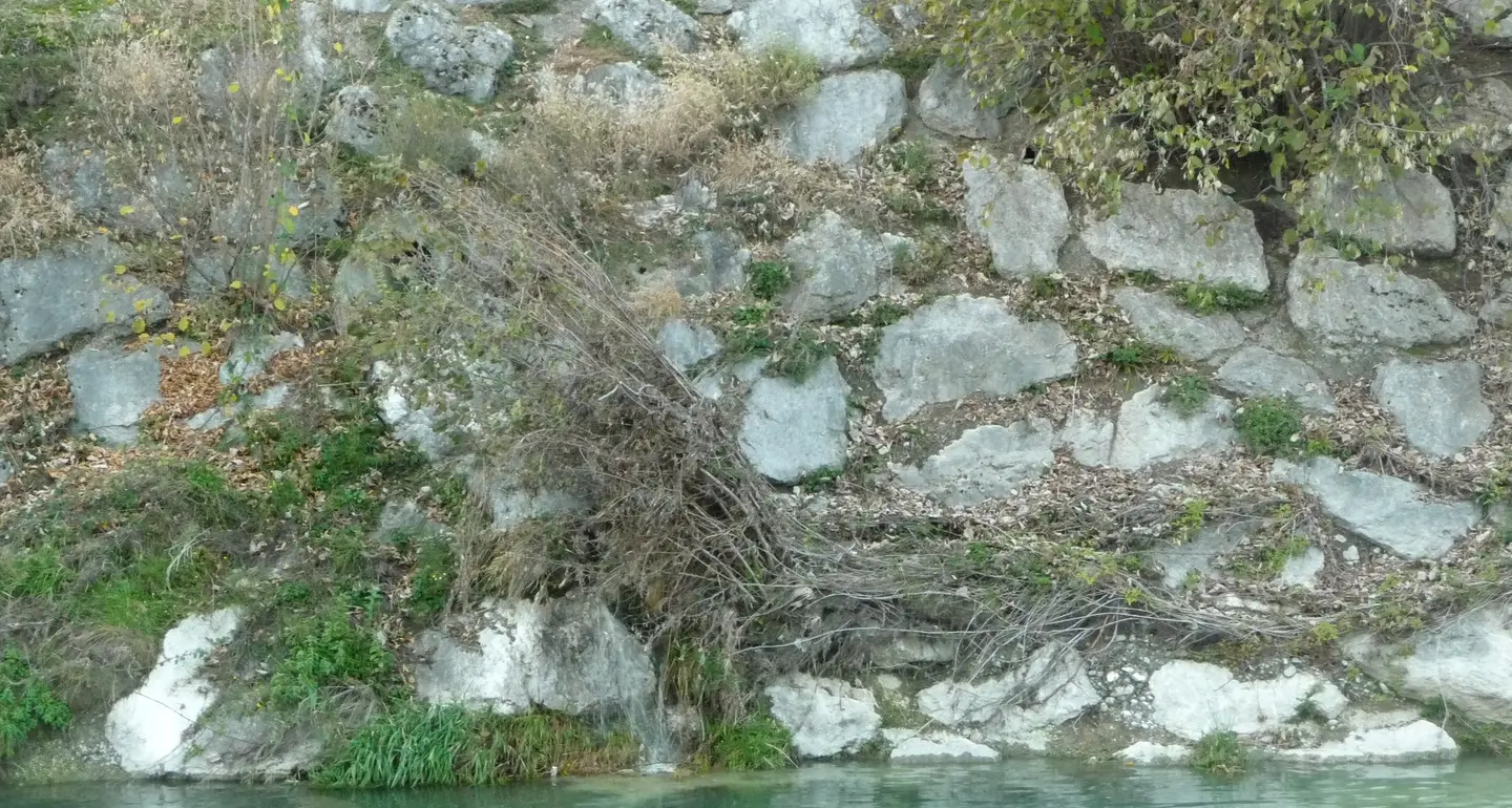 L’allarme: «Materiale fognario nel Sarca»