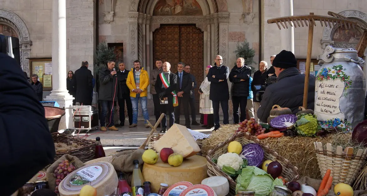 Contadini e allevatori provano a ripartire