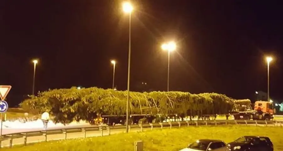 Abete solandro a Milano per Sky