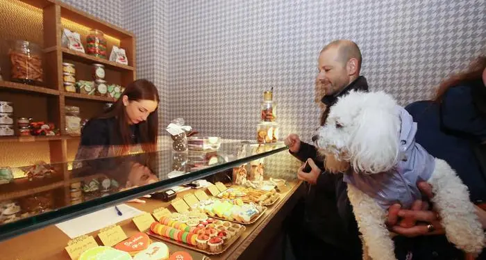 Inaugurata a Brescia la pasticceria per cani