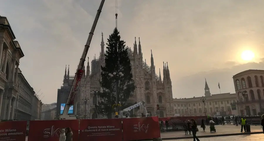 Dopo il lungo viaggio l’abete ora è in piazza Duomo