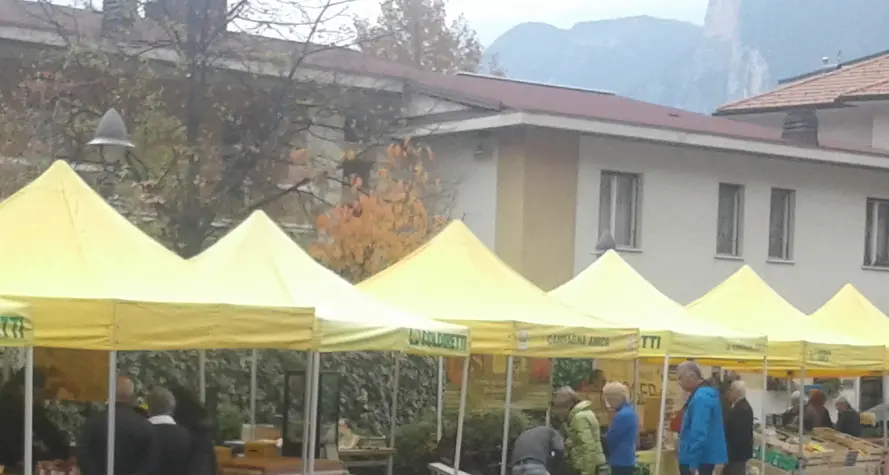 «Mercato agricolo sempre più apprezzato dalla gente»
