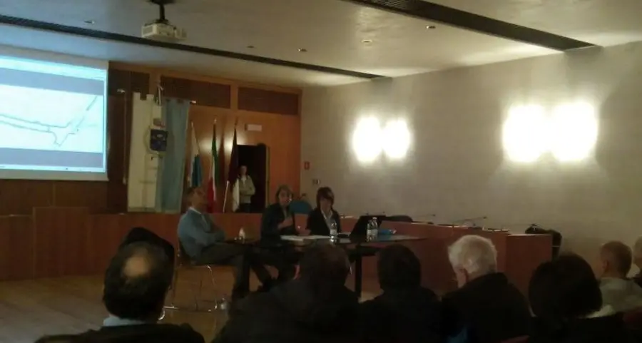 Tigli da salvare: «Impariamo da altre città»