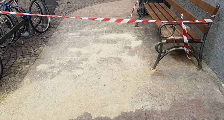 Denunciato l’accoltellatore