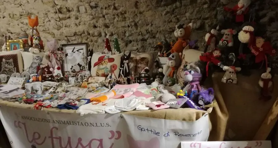 “Le Fusa”, trenta volontarie accudiscono 60 colonie