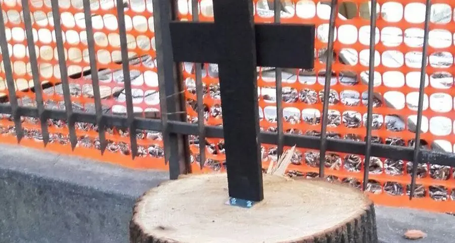 «Le croci sui ceppi dei tigli gesto stupido e offensivo»