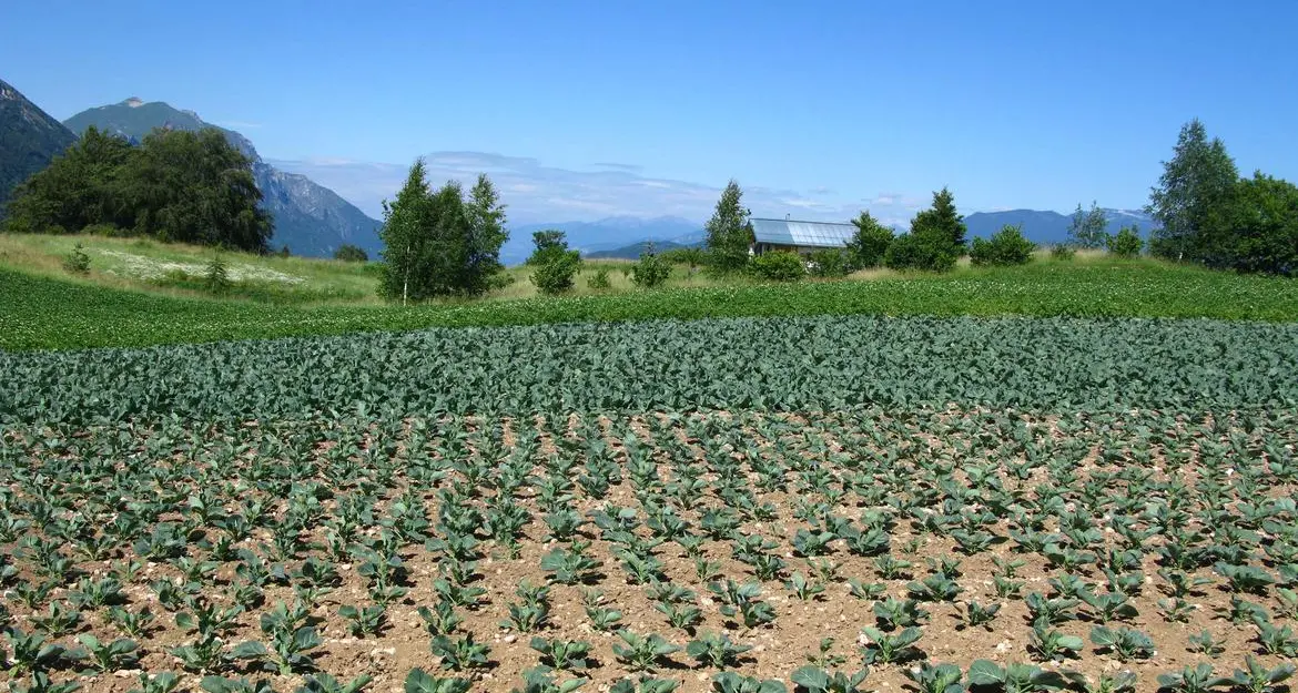 Al via la ricerca su disponibilità idriche in Val di Gresta