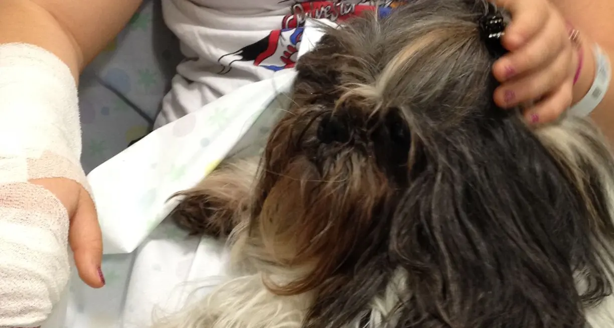 Pet therapy in oncologia e protonterapia a Trento