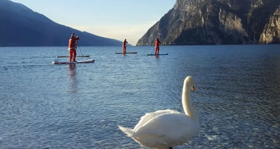 Babbo Natale naviga con il sup