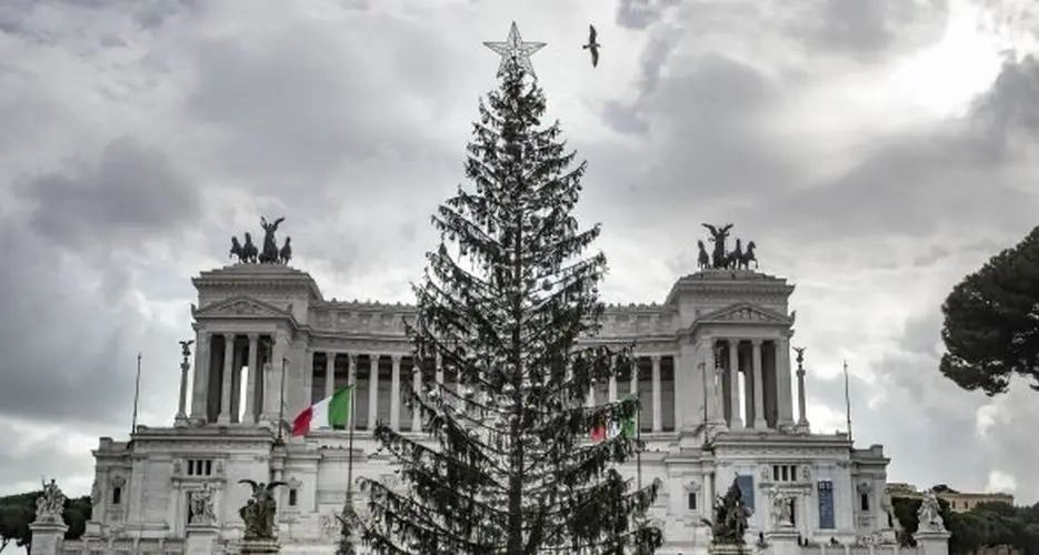 Addio Spelacchio: l'albero donato a Roma è \"morto\"