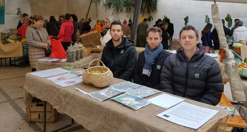 Giovani alla ricerca delle pere “perdute”