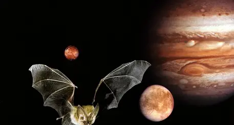 I nuovi radar planetari? Vanno a lezione dai pipistrelli