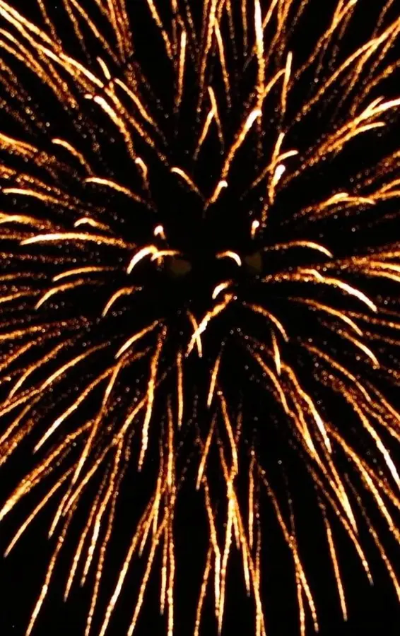 L’appello del segretario Anesi contro i botti di Capodanno