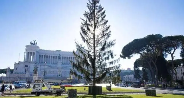 È «Spelacchio» la parola dell’anno