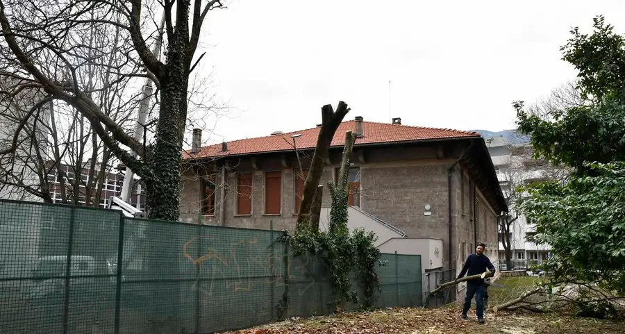 Altri alberi tagliati, stavolta al Fontana