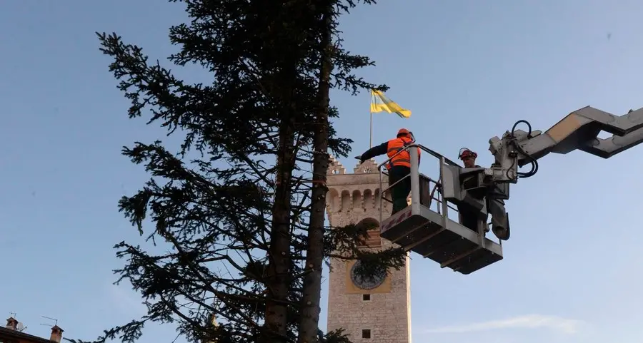 L’albero di Natale è stato archiviato