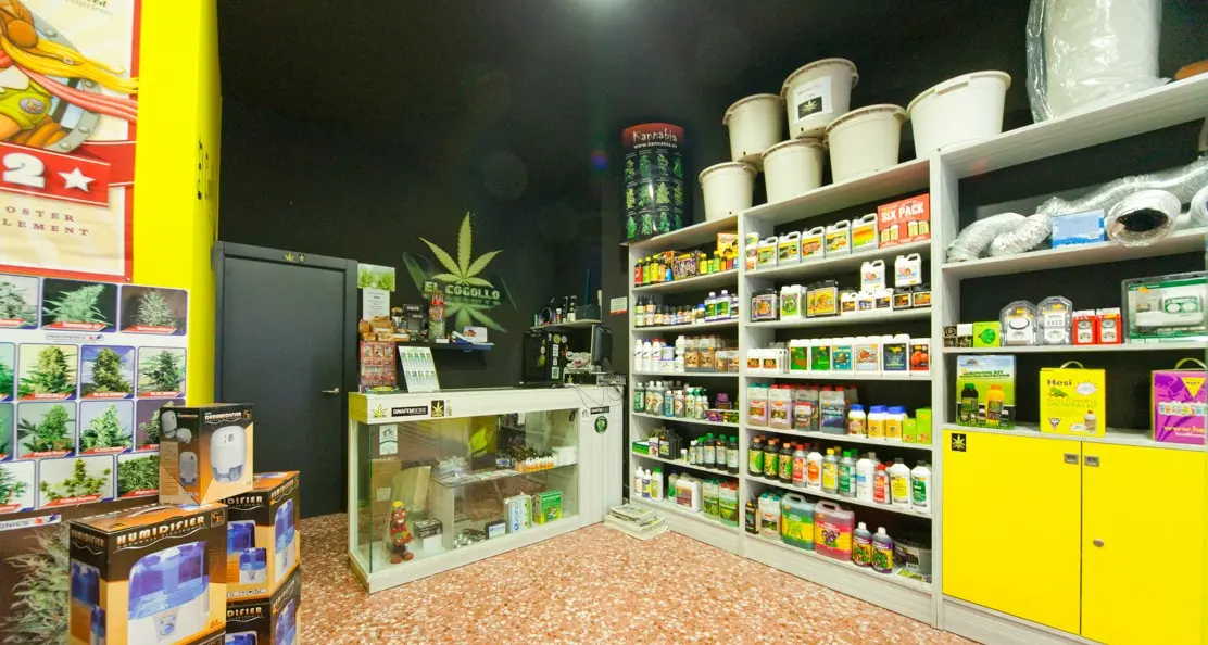 Cannabis, è boom di growshop in Italia: 6 anche in Trentino Alto Adige