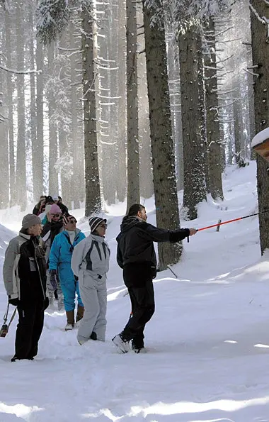 Il diverso turismo bianco delle guide alpine