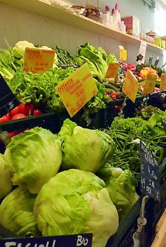 Alimentazione “bio”, parola agli esperti