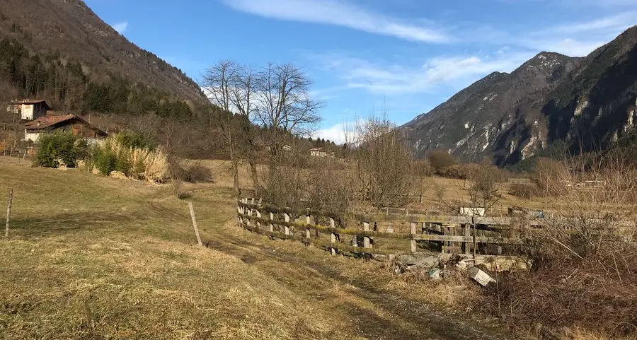 «Rilancio delle aree agricole abbandonate»
