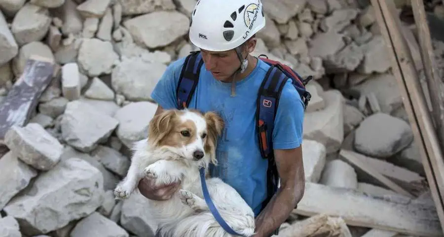 Protezione civile, il codice ora pensa anche agli animali
