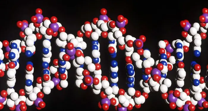 Il Cibio di Trento scopre l'arma contro il Dna malato