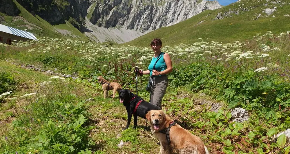 Vuoi diventare dog-sitter o lavorare in pensioni per cani? Ecco il corso per te