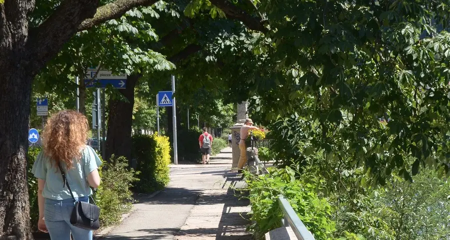 Mozione di Tomasi: «Lungo Fersina, marciapiedi da rifare»