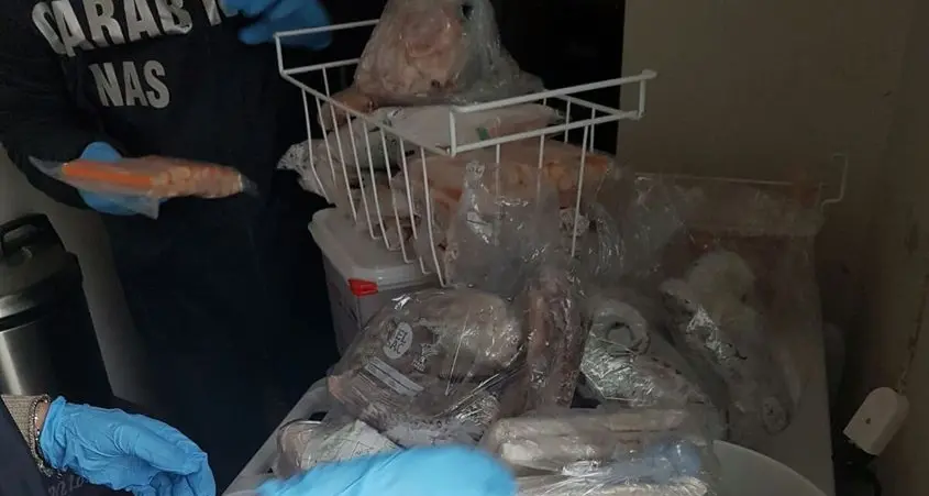 Un quintale di pesce vicino ai rifiuti