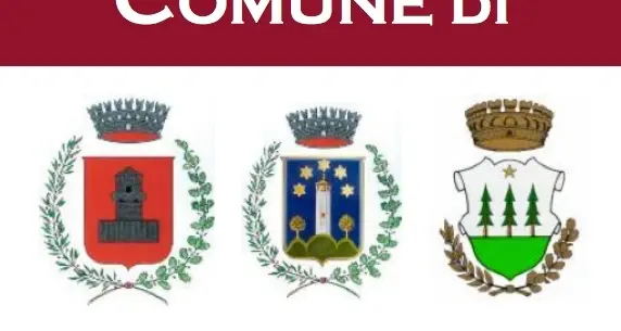 Ville d’Anaunia in cerca di stemma e gonfalone
