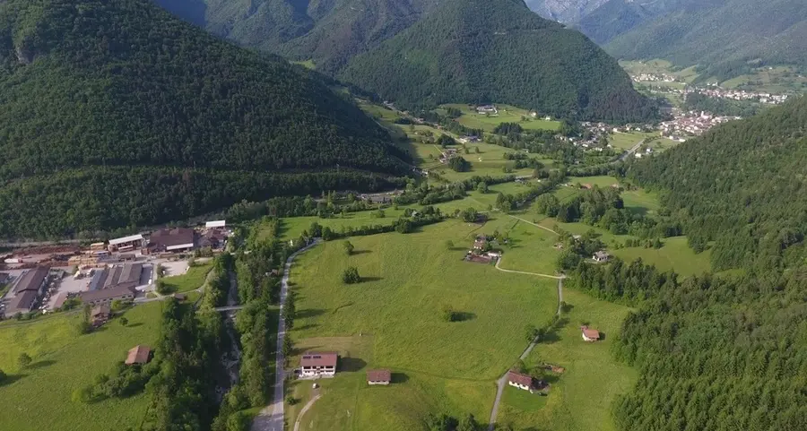 Referedum stalla, accolto il ricorso