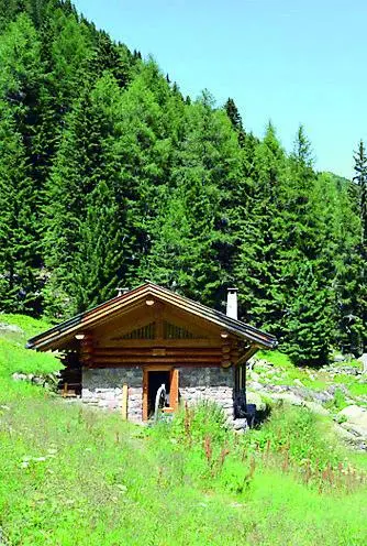 A “Fornasa” per 3 anni disponibili solo piante schiantate