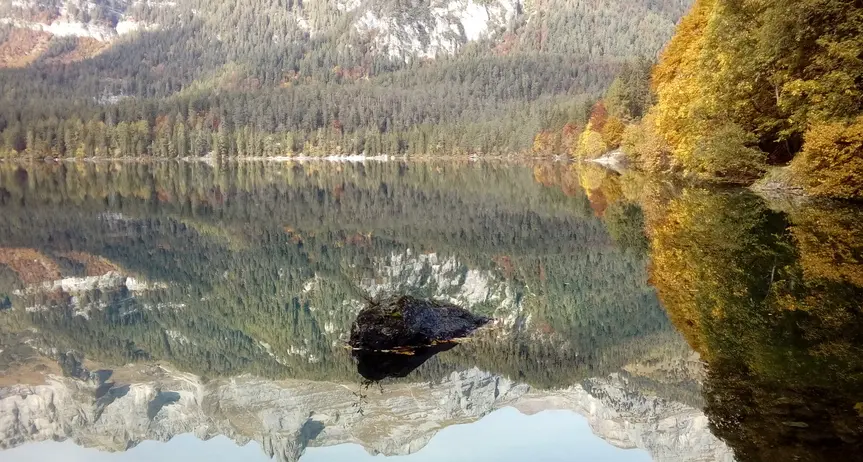 In forza con i Forestali anche 4 cani anti-orso