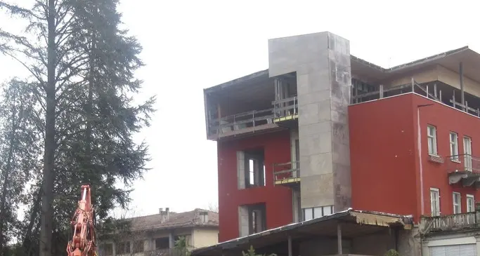 Al Seehof via gli alberi per ricostruire