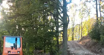 Cimone, una nuova strada forestale per le porzioni di legna